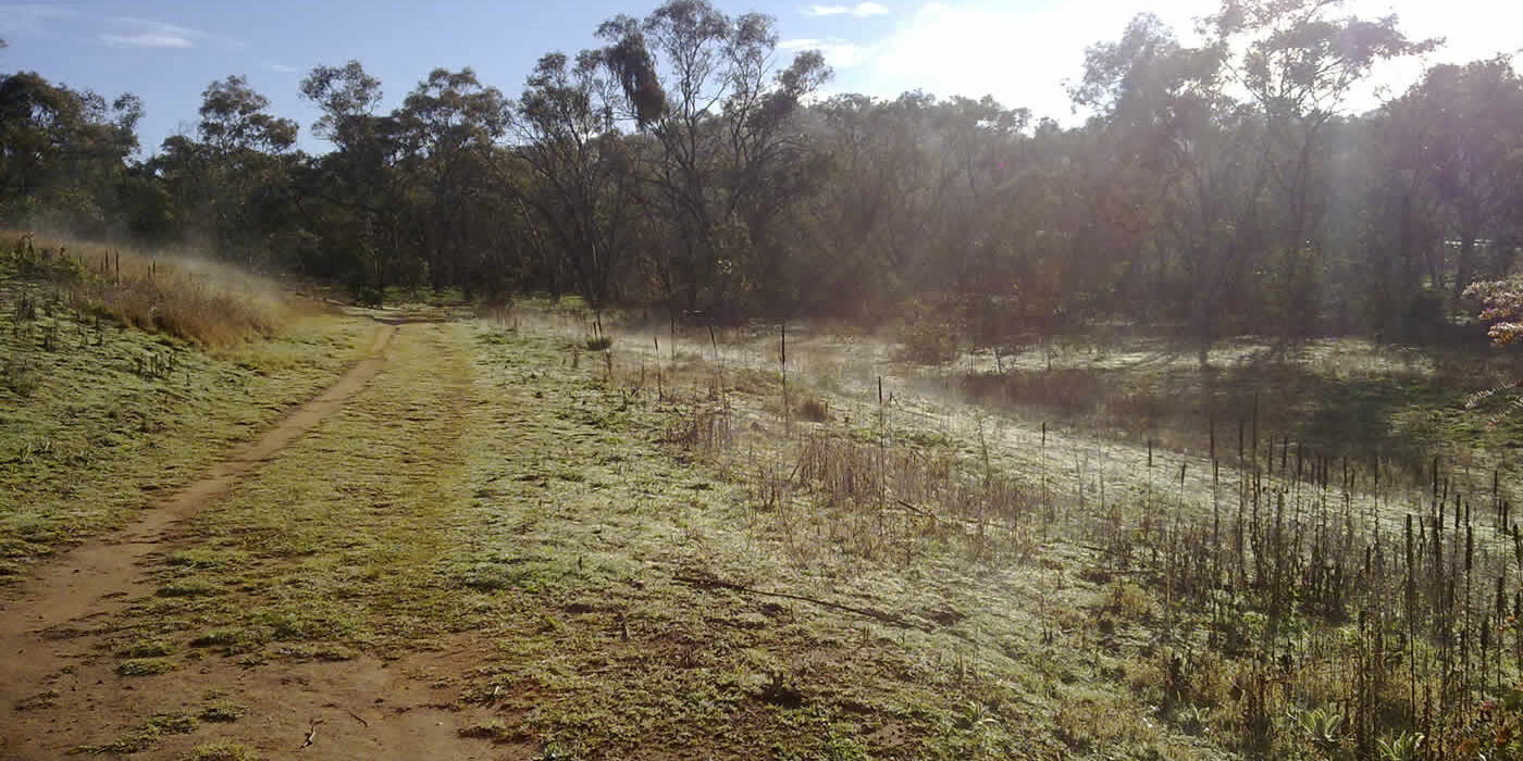 Affordable Agricultural Farming Land in Malindi Affordable Agricultural Farming Land in Malindi