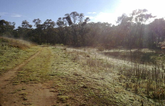 Affordable Agricultural Farming Land in Malindi Affordable Agricultural Farming Land in Malindi