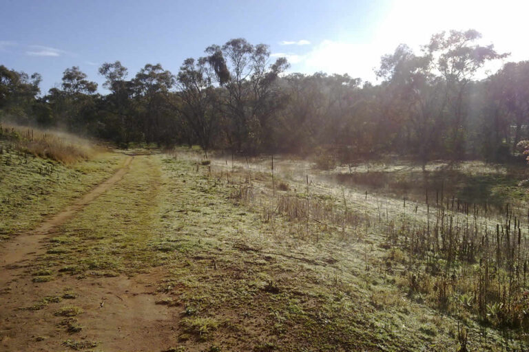 Affordable Agricultural Farming Land in Malindi