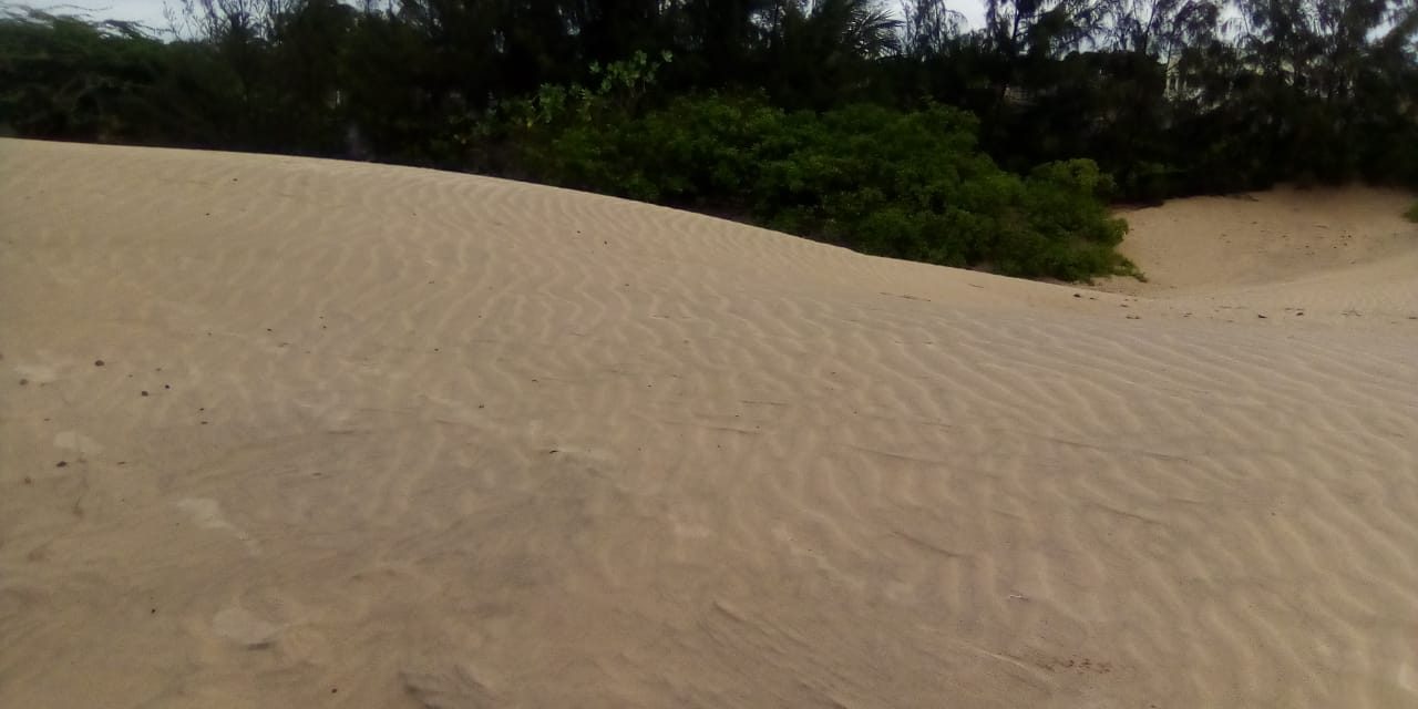 Buy a beach plot in Ngomeni beach, Malindi Buy a beach plot in Malindi with ready title deeds.