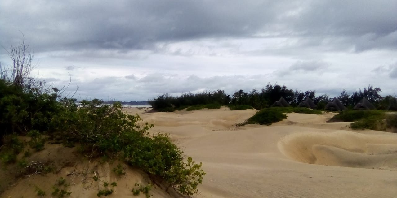 WhatsApp Image 2021-06-09 at 15.48.35 (1)