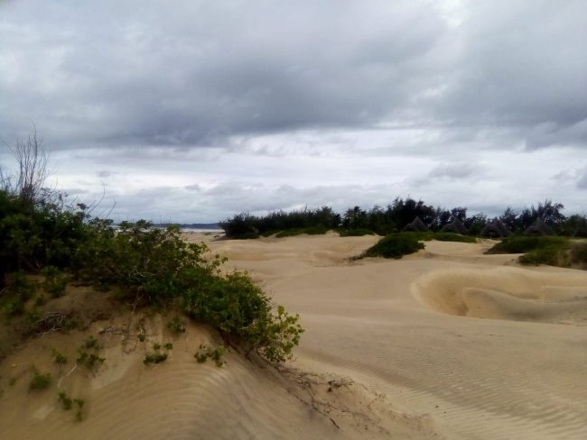 WhatsApp Image 2021-06-09 at 15.48.35 (1)