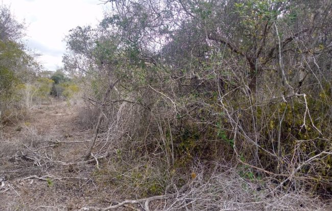 WhatsApp Image 2021-08-10 at 14.41.16 (1)