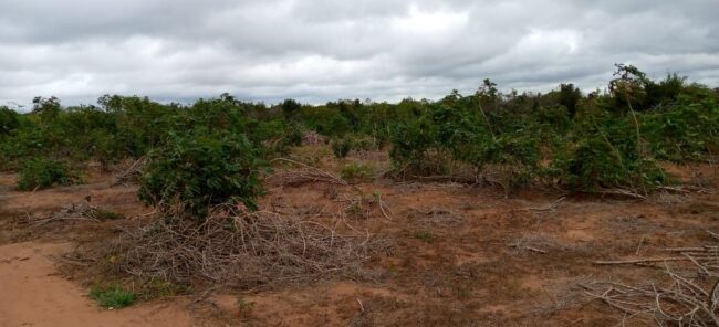 11,000 acres farming land for sale with Title Deed 11,000 acres farming land for sale with Title Deed