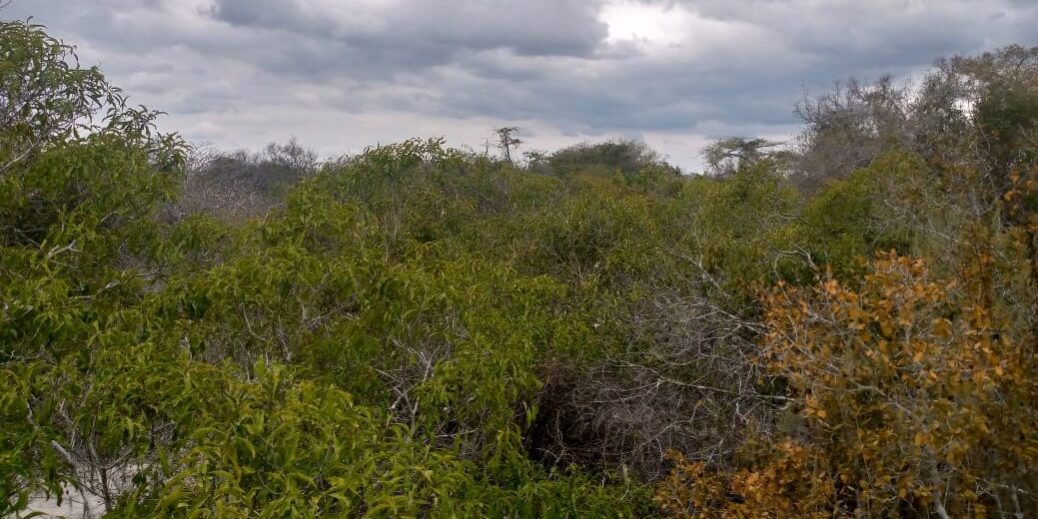 WhatsApp Image 2021-08-10 at 14.41.11