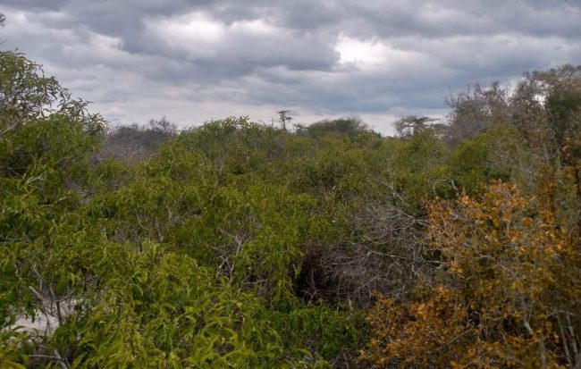 WhatsApp Image 2021-08-10 at 14.41.11