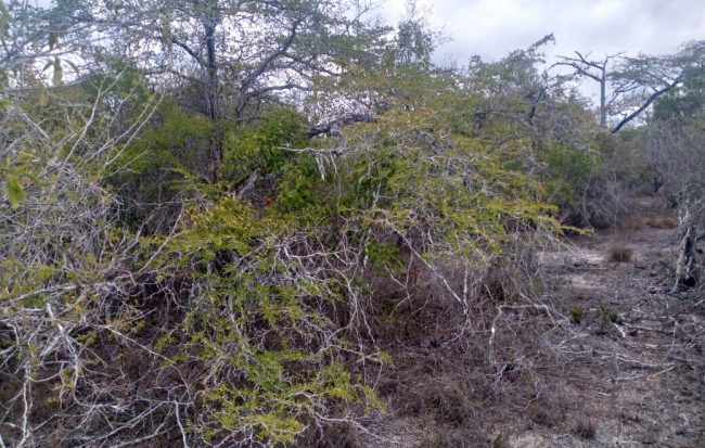 WhatsApp Image 2021-08-10 at 14.41.13 (1)