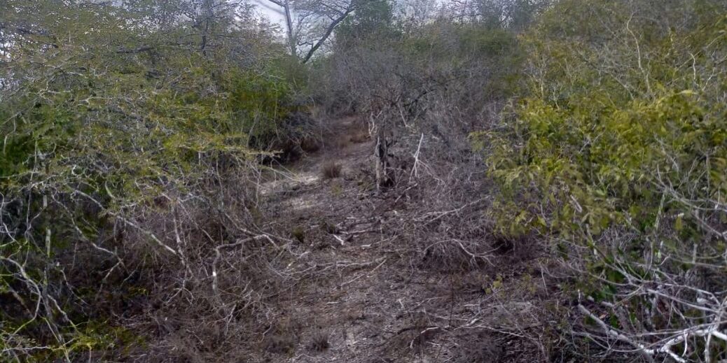 WhatsApp Image 2021-08-10 at 14.41.15 (2)