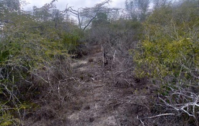 WhatsApp Image 2021-08-10 at 14.41.15 (2)