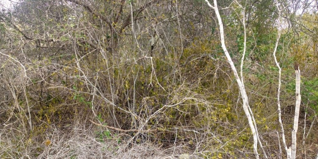 WhatsApp Image 2021-08-10 at 14.41.18