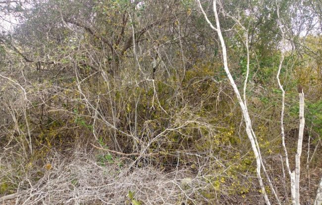 WhatsApp Image 2021-08-10 at 14.41.18