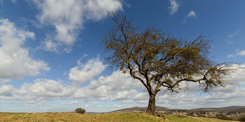 Plots for Sale in Malindi Plots for Sale in Malindi