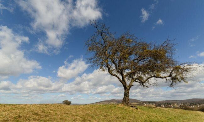 Plots for Sale in Malindi