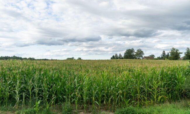 Where is the best place to buy agricultural land in Kenya